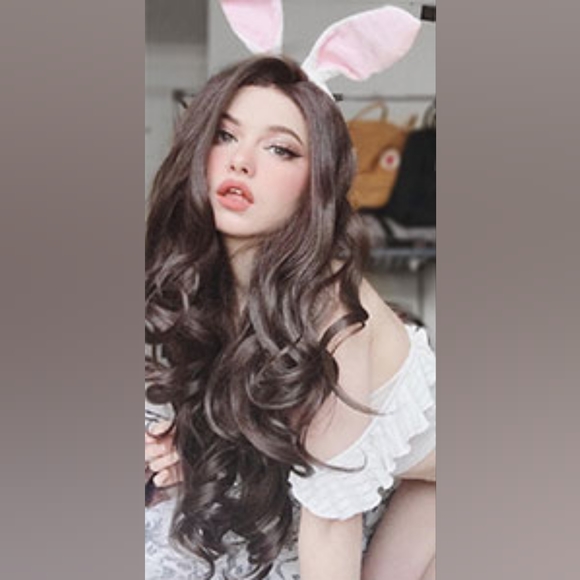 Brown Beauty Lace Front Wig